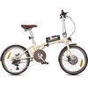 Maxtron Smart20 Leichtes Elektrofahrrad – 250W Motor, 36V 5,2Ah Akku