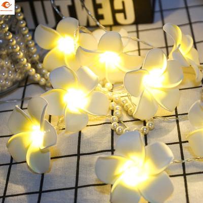 Vintage Frangipani Flower Led Fairy Light String Battery Home Vintage Frangipani Flower Led Fairy