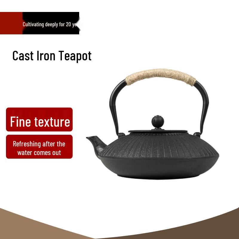 Beifu Cast Iron Teapot for Stove Brewing