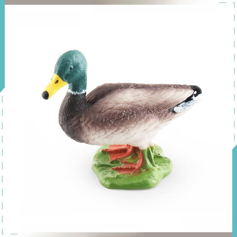 Farm Animal Chicken Duck Goose Model Set For Kids Education And Home Decor With Pvc Realistic Bird Figures