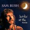 CD SAM BUSH Howlin at the Moon SHCD3876 Sugar Hill Reco 1998 US Jazz Gebraucht