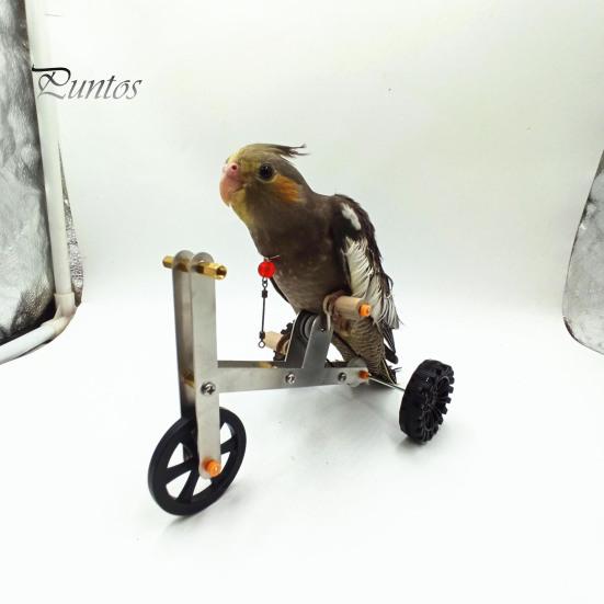 Vogel Fahrrad Spielzeug 1 Set Papagei Training Lustiger Wellensittich Nymphensittich Wellensittich Fahrrad Mini Metall 4 Räder Fußtraining Lernmaterialien Fahrradförmig