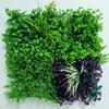 Artificial Green Plant Wall for Turf and Floral Decor