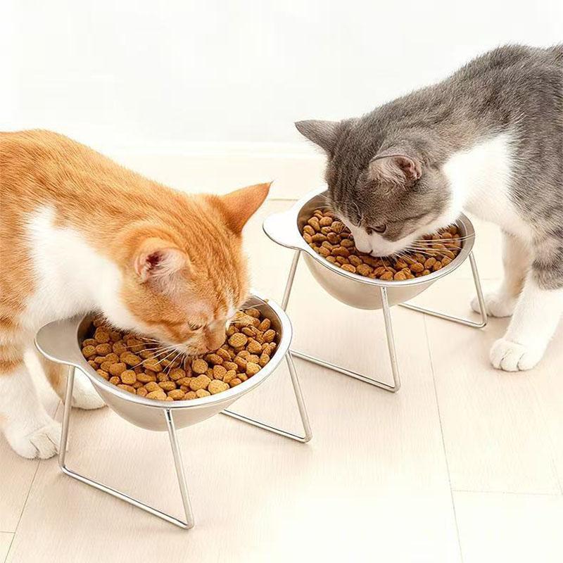 Pet Products Stainless Steel Pet Bowl Slanted Anti Cervical Spondylosis Dual Use Feeder for Cats and Dogs MW05