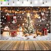Merry Christmas Wreath Window Glitter Photography Backdrop Happy New Year Background Family Holiday Party Decoration RR-97