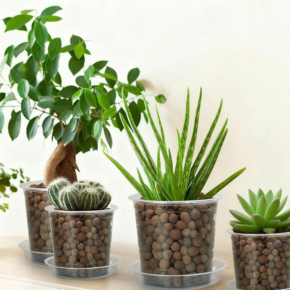 

25 Pcs Clear Plastic Nursery Pots with Drainage Holes and Saucers for Indoor and Outdoor Plants 35 to 7 Inches China Mainland