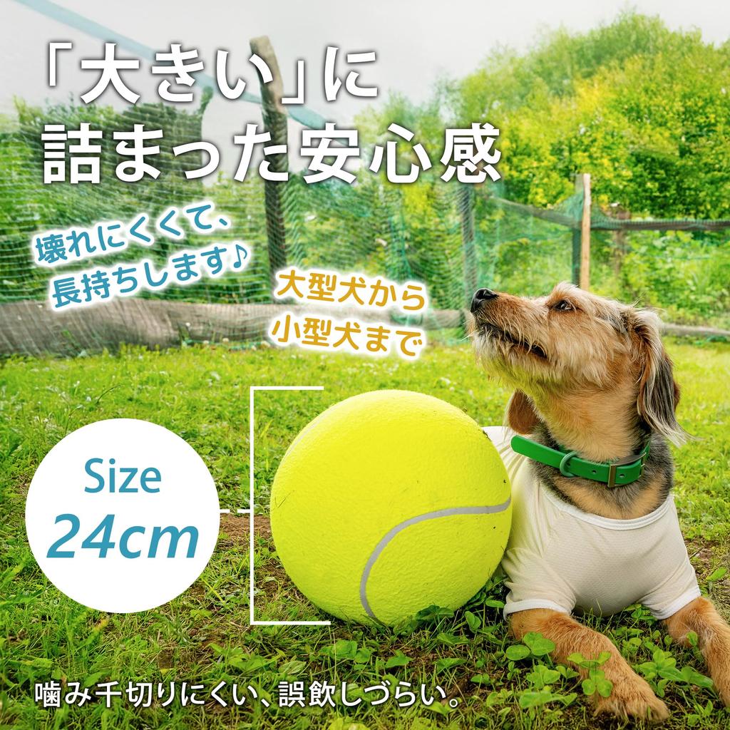 PAW EXPLORER Big Ball for Dogs Large Dog 24cm LL Requires for and Agility Includes Personalized Inflatable Ball and Inflatable Ideal for Outdoor -