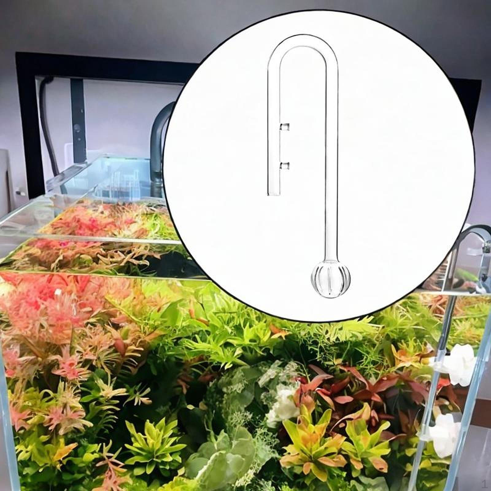 

Аквариумный стеклянный лилиевый трубопровод для акваскейпинга с растениями, прозрачный 17mm