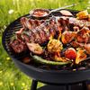 TG71415 Large garden grill, foldable tourist grill, BBQ for camping, foldable suitcase
