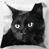 Decoracin Del Hogar Funda De Almohada De Gato Negro Impresin Decorativa Funda De Cojín De Sof De Coche Cuadrado En Forma