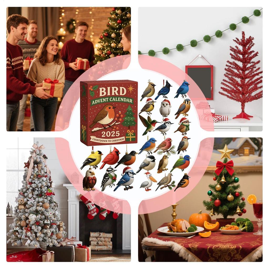 Christmas Calendar Countdown 2D Flat Acrylic Ornament 24 Days Bird Ornament Countdown Calendar for Men Women Girls Youth Teens