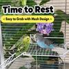 Multi-Level Bird Cage Platform Durable Climbing Ladder Interactive Parrot Station  Indoor