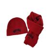 BOSTON Embroidery Scarf Hat Set Windproof Ear Protection Hat New Beanie Hat  For 2-8Y