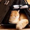 Oxford Insulated Dog House Foldable Cat Teepee Tent Pet Cage Dog Cave Hut  Indoor Outdoor