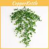 Plant Eucalyptus Wall Plastic Leaves Interior Design Scenes Photography
