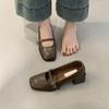 Retro Square Head High Heels, Shallow Mouth Single Shoes, Women's Spring and Autumn New French Temperament, Evening Breeze Thick Heel Leather Shoes