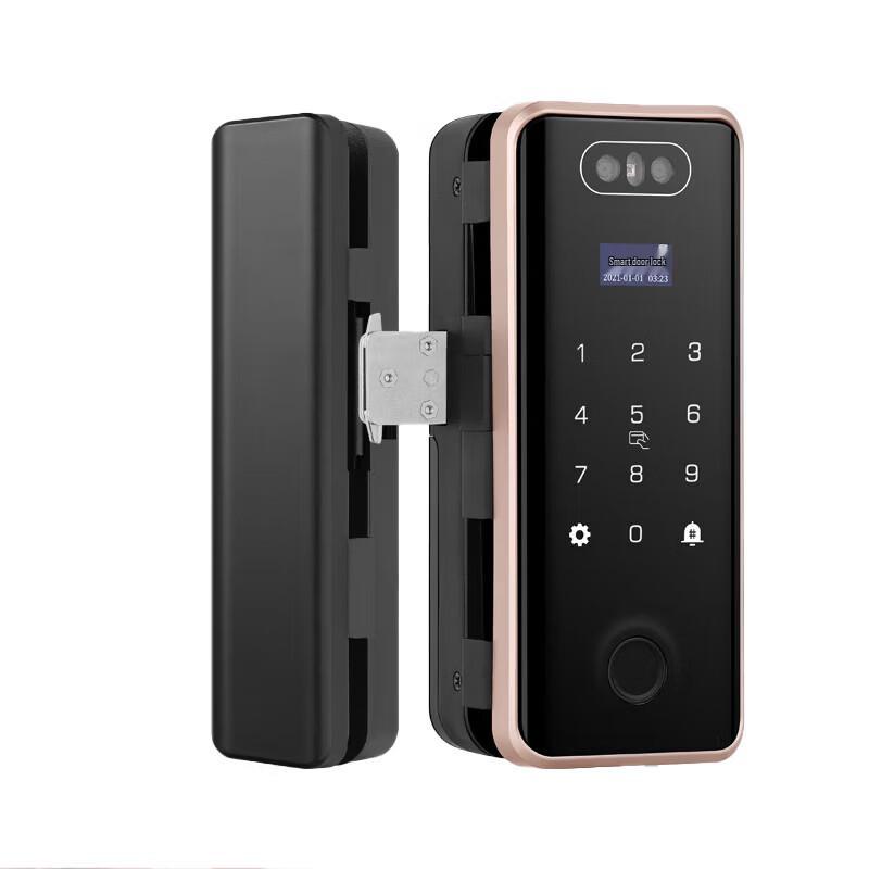 Realand ZD508 Face Fingerprint Access Control Lock