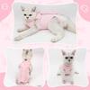 Cat Recovery Suit for Abdominal Wounds or Skin Diseases, Cat Onesie for Cats After Surgery Female Kitten Recovery Suit