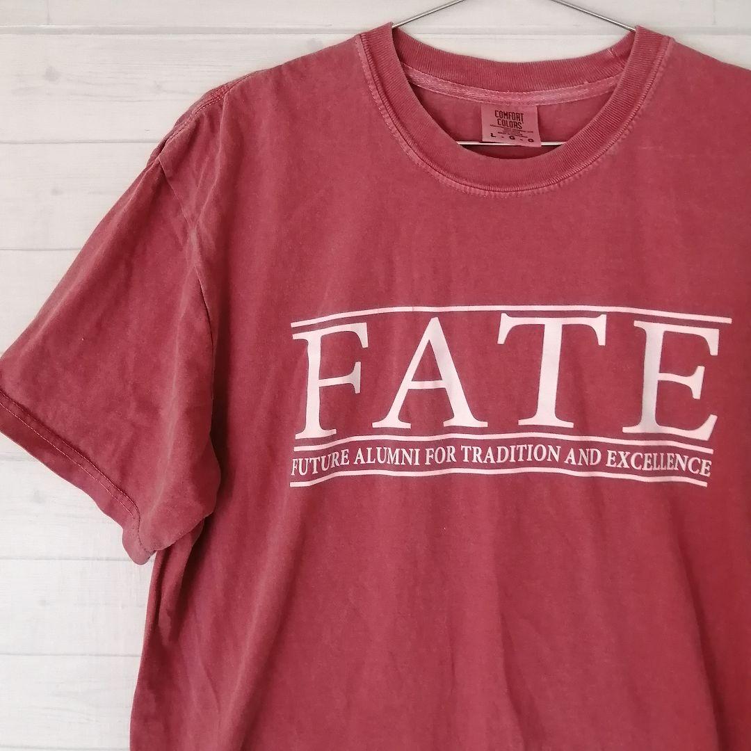 

[USED] US Vintage Comfort Colors FATE T-Shirt, Size L, Burgundy