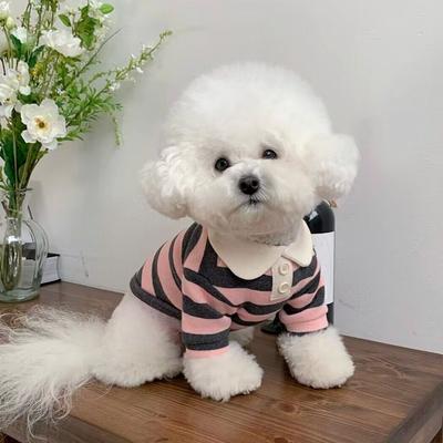 Bekleidung & Schuhe – Hundehoodies