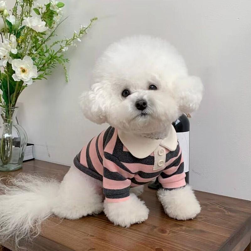 Dog Spring Summer Casual Striped Crew Neck T-Shirt Navy Style Cat Two Feet Small and Medium Dog Pet Teddy Clothes