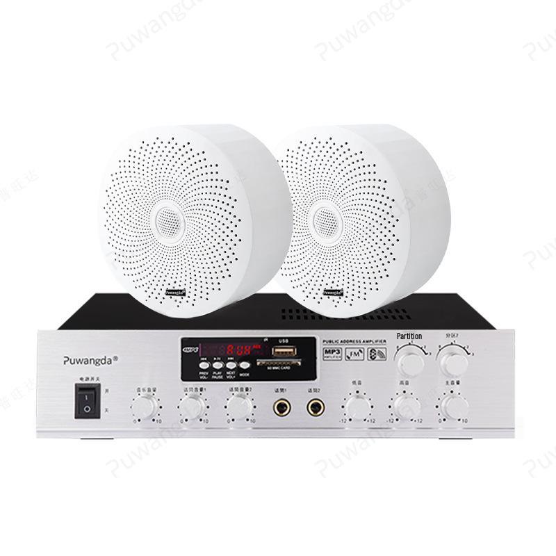 Wireless Indoor Ceiling Speaker with Wall-Mountable Hanging System