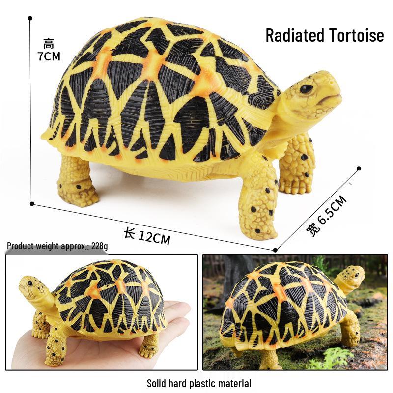 Children's Cognitive Marine Animal Models: Sea Turtle and Tortoise Toys