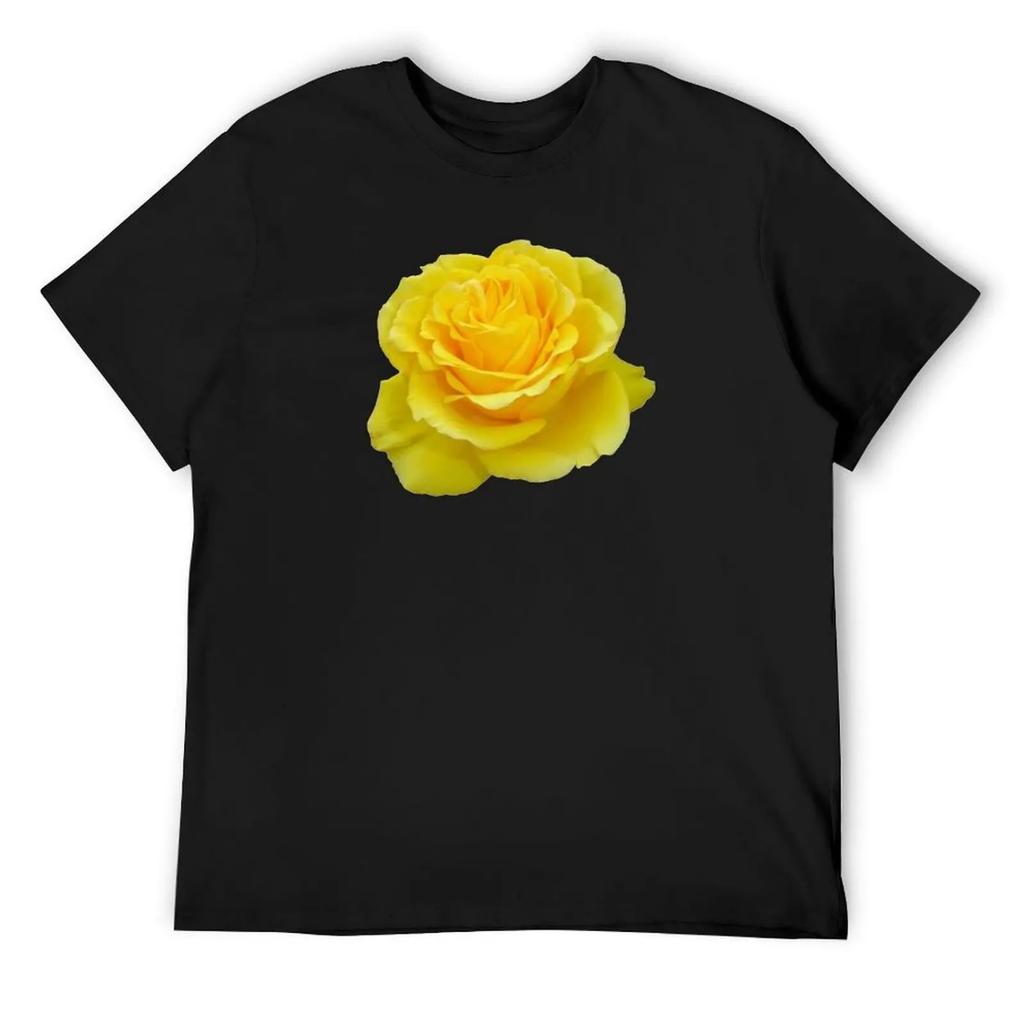 Beautiful Yellow Rose Flower on Black Background T-Shirt blacks men t shirts high quality