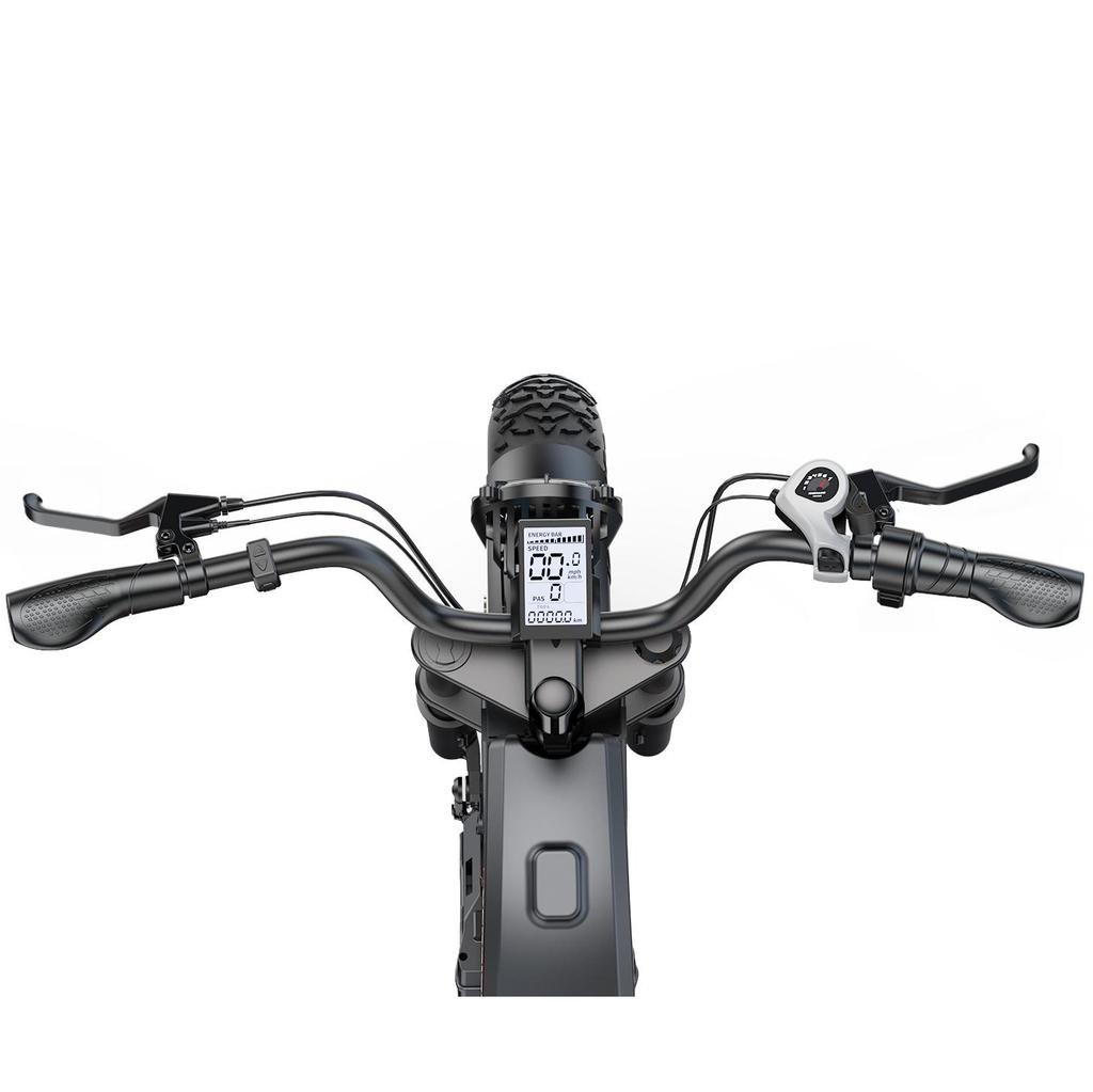 Bicicletta Elettrica Fuoristrada G-FORCE ZMPRO Batteria 52V40Ah Motore 750W Ruote da 20 Pollici E-Bike da Montagna Off-Road per Adulti