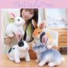 Creative Cartoon Rabbit Plush Toy Photography Decorative Props Stand Cute Pose