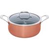 Iris Ohyama 24cm Double-Handled Pot, GasIH Compatible, Easy To Clean, Durable, Diamond Grace Bronze, DG-P24