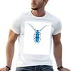 Rosalia Longicorn TShirt Personalized TShirt Custom Shirt Unisexs Clothing
