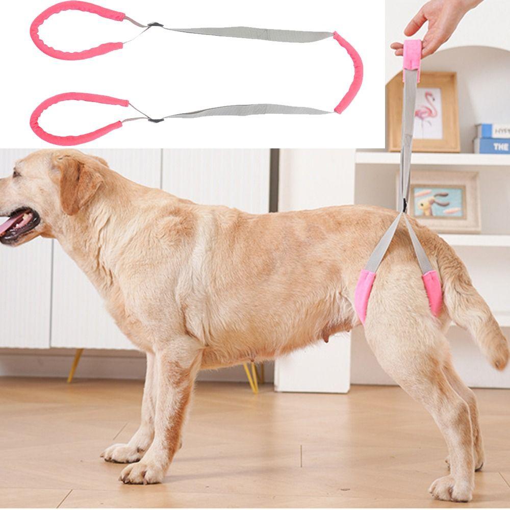 Soft Handle Pet Mobility Aid Adjustable Straps Dog Aid Sling Dog Lift Harness Elderly Dogs