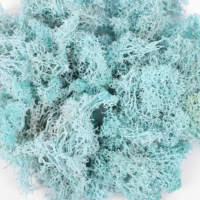 20/40/100g Artificial Green Plants Eternal Life Moss Grass DIY Crafts for Home Garden Room Decoration Mini Landscape Fake Flower