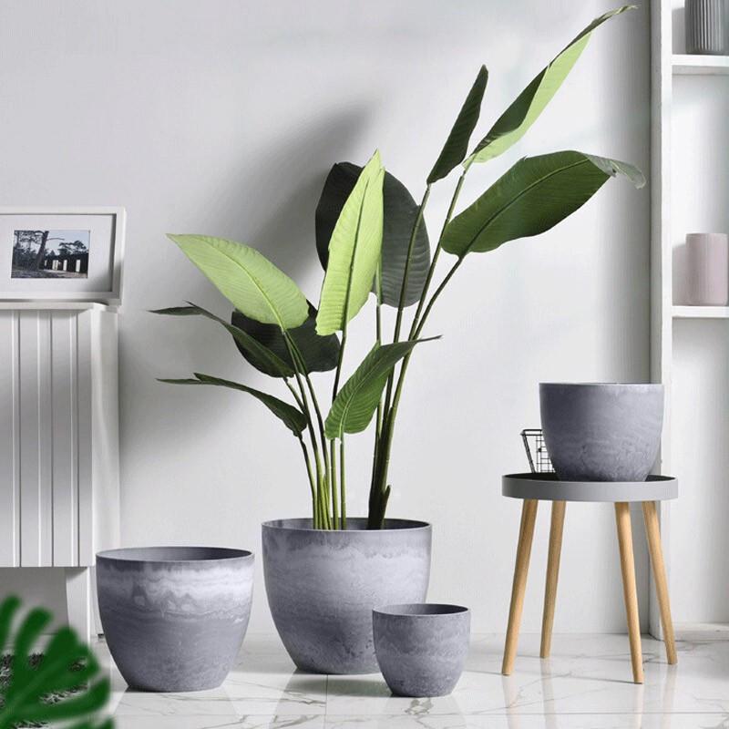 Qiaohao Shiguang Decorative Planters & Vases