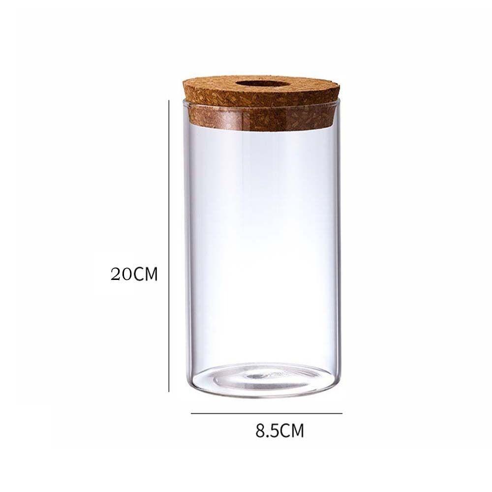 Transparent Hydroponic Plants Flower Pot Thickened Round Transparent Glass Pots Mini Glass Ecological Glass Vase Living Room