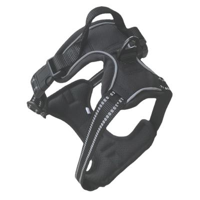 Perros – Collares y correas