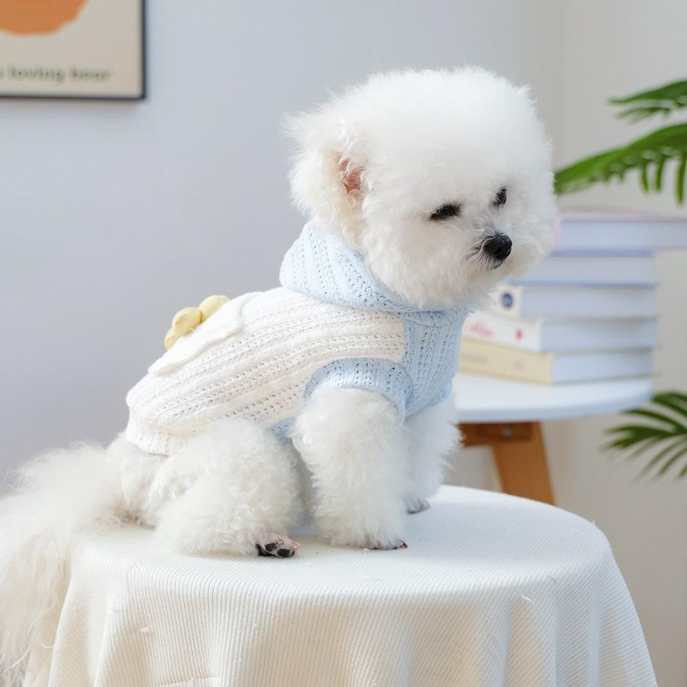 Two Legged Pet Knitted Hoodie Small Flower Dog Pullover Dog Base Sweater  for Running Walking