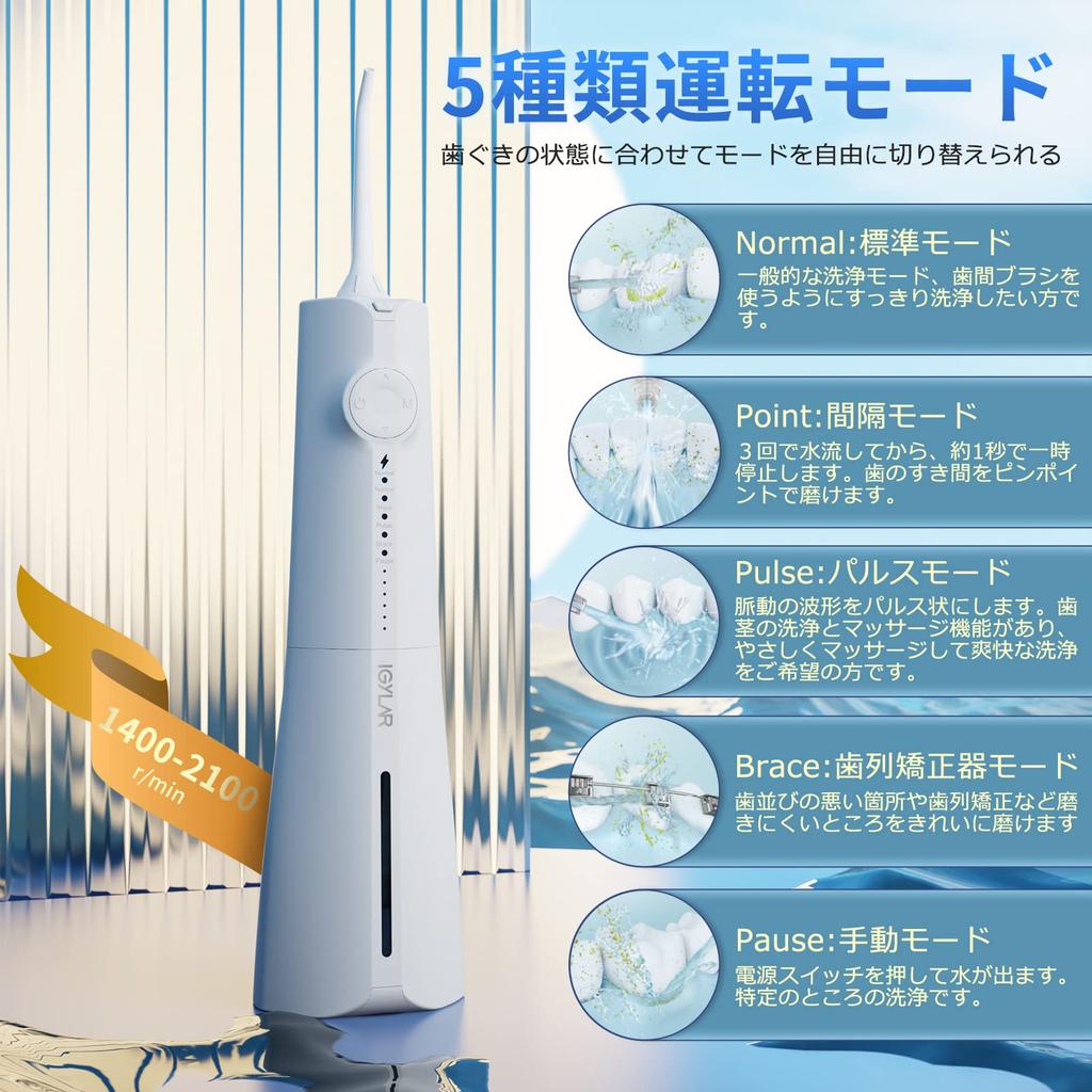 IGYLAR Y205N Cordless Rechargeable Oral Irrigator Jet Washer with 5 PSI Water Pressure 300ML IPX7 4 Replacement and a Portable Storage Pouch Modes,