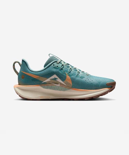 Nike Pegasus Trail 5 W DV3865-010 [Shipped from Korea] 100% Authentic