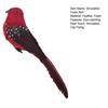 Artificial Bird Three-dimensional Eyes Long Tail Realistic Colorful Fake Animal Bird Garden Prop Decoration for Home