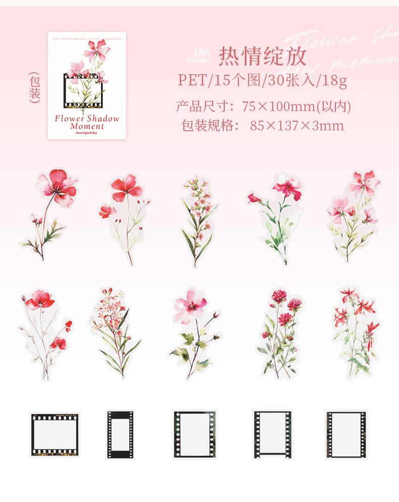 30 Pcs Film and Flowers Plant Stickers Pack Creativity PET Decorative Sticker for DIY Diary Scrapbooking Junk Journal Supplies
