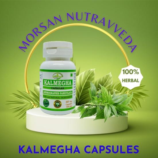 Morsan Nutraveda Kalmegha (Andrographis Paniculata) Extract Capsule| 60 x 500 mg Veg Capsules| Herbal High-Potency Formula