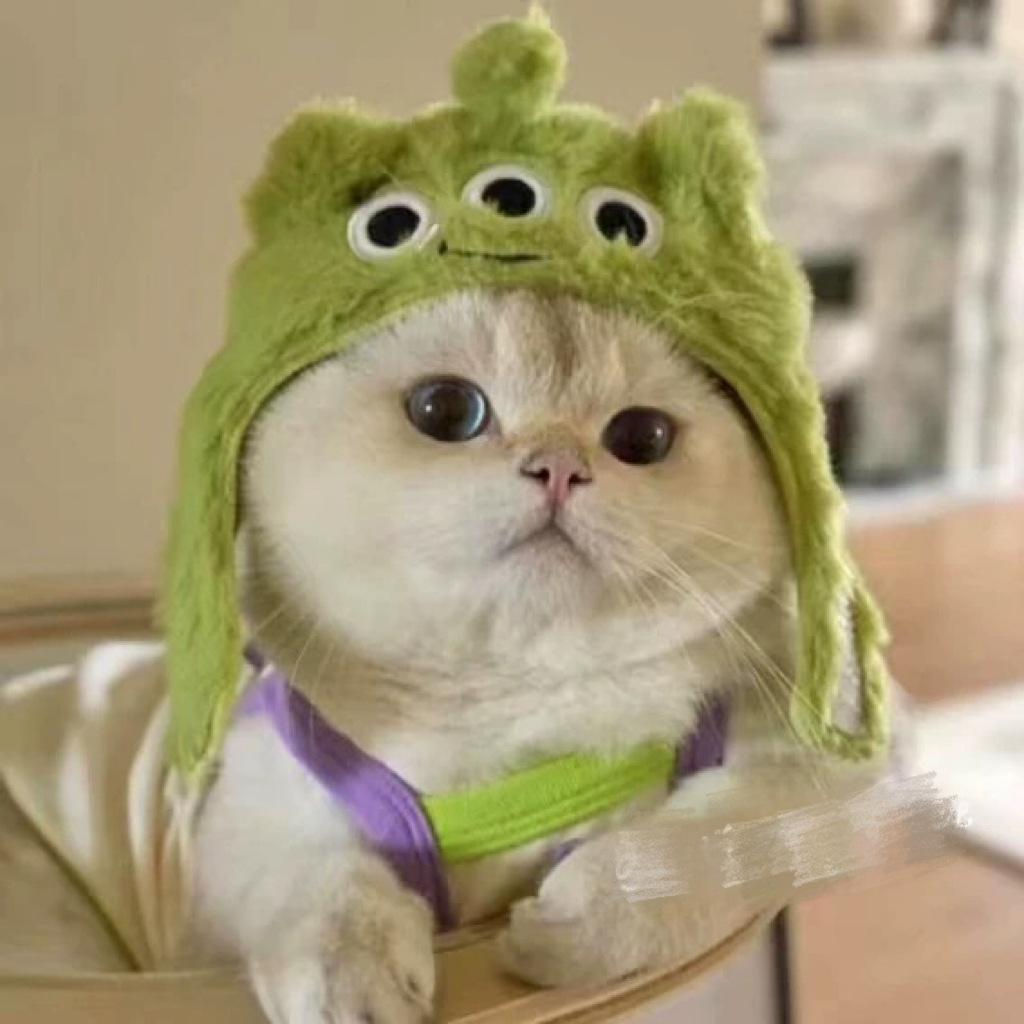 Pet Hat Decoration Headgear Plush Drag Puppy Dog Cat Cuter Than Bear Photo Headgear Funny