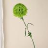 Realistic Texture Green Artificial Dandelion Single Stem Faux Green Flower  Photography Props