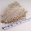 10Pcs 30-35cm Ostrich Feathers for Crafts Wedding Decoration 12-14" Handicraft Accessories Table Centerpieces Carnival Plumas