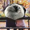 Black Kitten Pattern, Automatic Folding Umbrella, Portable and Foldable Design, 8 Ribs, a Christmas or Birthday Gift.