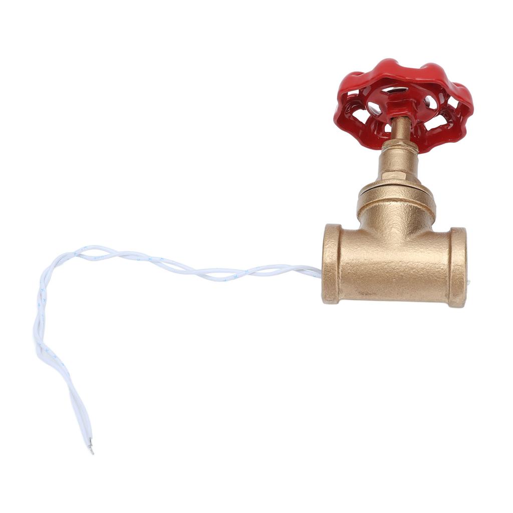 Interruttore Luce Industriale G1/2 Interruttore Luce Tubo Acqua Interruttore Lampada Steampunk con Filo 12V/120V