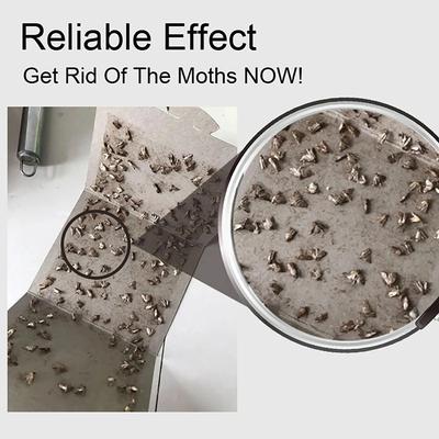 5Pcs Pantry Moth Traps with Pheromones Prime Sticky Glue Indian Meal Moth Traps Clothes Moth Traps for Food Cupboard