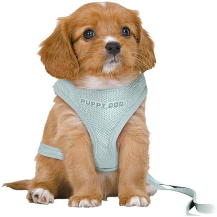 Harnais Pour Chien - TRIXIE - Junior Puppy - Mintgroen - 36-50 Cm - Léger 92g